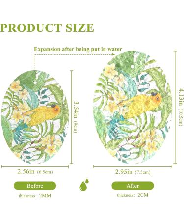 3-Pack Cleaning Kitchen Sponges Oval Plumeria Leaves and Parrot Kitchen Cellulose Dishwashing Wood Pulp Cotton - Buy Online on GoSupps.com