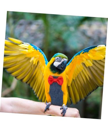 minkissy flying bird diapers cockatiel diaper cockatiel nappy bird clothes DiapeR macaw diaper parrot nappy conure diaper pet diapers parakeet diaper small conical protector cotton 14x7cm As Shown 4 - Buy Online on GoSupps.com