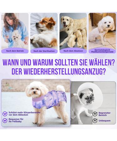 Eyein Dog Body After Op - Breathable Soft One-Piece for Wound Protection | E-Neck Band Alternative for Pets (Purple Size S) - Buy Online on GoSupps.com