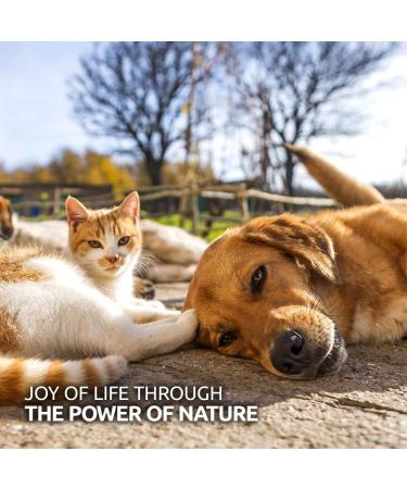AniForte Premium Salmon Oil 200 Tablets for Dogs & Cats - Natural Norwegian Fish Oil Supplement with Omega 3, 6, EPA, DHA & ALA for Coat, Skin, Joints & Brain Health - Buy Online on GoSupps.com