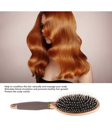 Paddel Hair Brush - Wide Toothbrush & Scalp Massage Brush for Healthy Hair | Multifunctional Rounded Tool for Gentle Scalp Care - Buy Online on GoSupps.com