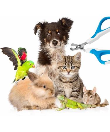 UEETEK Cats Nail Clippers Stainless Steel Professional Pet Dog Nail Trimmers for Small animals Puppy Bunny - Buy Online on GoSupps.com