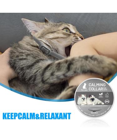 4 STK Flea Collar for Dogs - Adjustable Anti-Flea Teckenschutz Neck Band | 24 Months Protection for All Breeds - Buy Online on GoSupps.com