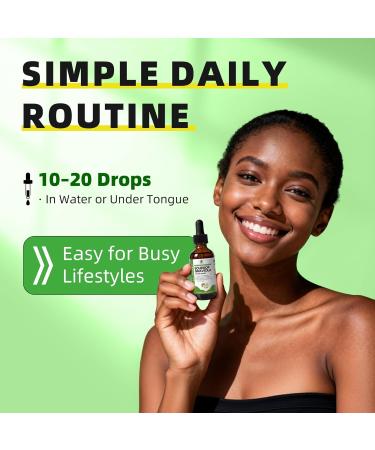 iMATCHME Soursop Graviola Liquid Drop for Cell Support & Regeneration, Immune System and Gut Health Support, Pure Soursop Bitters Liquid, High Absorption, Sugar/Gluten Free, Natural Flavor, 2 Fl Oz Original 2 Fl Oz (Pack of  - Buy Online on GoSupps.com