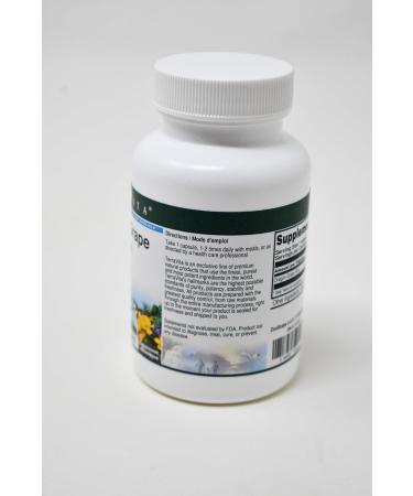 Oregon Grape Root - 450 mg (100 Capsules ZIN: 511916) - 3 Pack - Buy Online on GoSupps.com