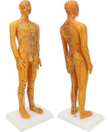 High-Quality Acupuncture Point Body Model - Exquisite Craftsmanship & Practical Accessories for Training - Buy Online on GoSupps.com