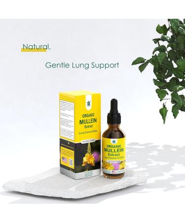 Mullein Drops 800 mg | Natural Lung Detox & Cleanse Tincture for Respiratory Health | Alcohol-Free No Sugar | 2 fl oz - Buy Online on GoSupps.com
