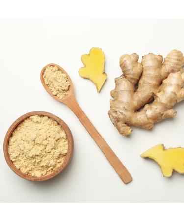 Ginger Powder 250g by Villa Nostrum - Ginger Ground Pure and Aromatic Spice Cooking Baking Raw Vegan - Buy Online on GoSupps.com