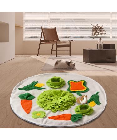 Snuffing Carpet for Rabbits & Guinea Pigs | Sniffing Mats Intelligence Toys & Food Search Training - Buy Online on GoSupps.com