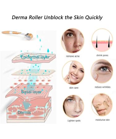 Micro Derma Roller 192 Microneedles Dermaroller Micro Needle Roller Professional Microneedling Derma Needling Kit Skin Care for Face Wrinkles Hair Loss Stretch Marks Hair Regrowth (1.0mm) - Buy Online on GoSupps.com