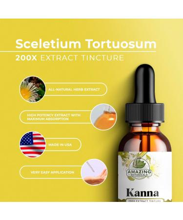 Amazing Botanicals Premium Organic Kanna Extract Tincture 200x Menstrum - Sceletium Tortuosum Liquid Drops Non-GMO, Vegan, Gluten-Free, Alcohol-Free, Liquid Supplement 60ml (2oz) 2 Fl Oz (Pack of 1) - Buy Online on GoSupps.com