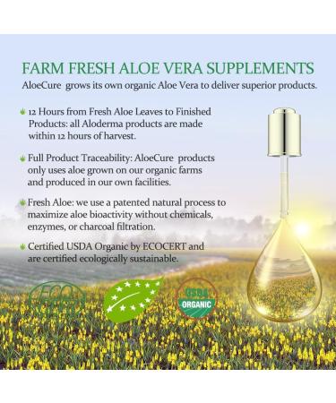 AloeCure Organic Aloe Vera Juice - 2 Bottle Sample Pack - Lemon and Grape Flavor - 2x500ml - Buy Online on GoSupps.com