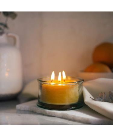 Buy Bluecorn Botanica Beeswax Candle - 3-Wick Pure Beeswax & Vanilla Scented Candle | International Shipping Available - Buy Online on GoSupps.com