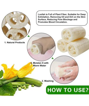 Buy 6 Pack Natural Luffa Sponge - 10cm Exfoliating Cucumbers for Skin Care Bath & Shower Peeling - Eco-Friendly Body & Kitchen Sponge - Buy Online on GoSupps.com