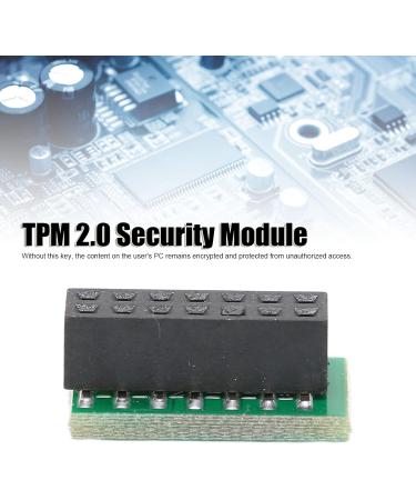 needlid TPM 2.0 Encryption Security Module 14pin LPC Encryption Security Module Compact Structure for PC - Buy Online on GoSupps.com