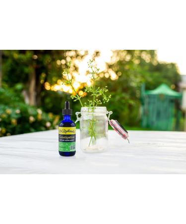 Dr. Rydland's Herbal Supplement | Created by KidsWellness | Great for Infants to Adults| Constipation | Relieves Occasional & Chronic Constipation and Infrequent Hard Stools | 2 Ounce Bottle - Buy Online on GoSupps.com