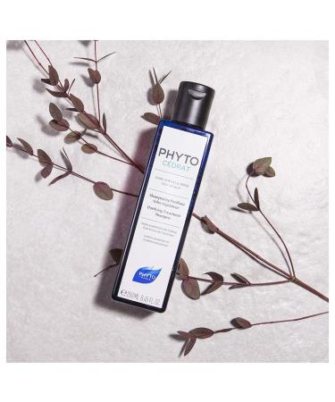 PHYTO Phytoc drat Purifying Treatment Shampoo 8.45 Fl Oz - Best for Scalp Clarity & Shine | International Shipping Available - Buy Online on GoSupps.com