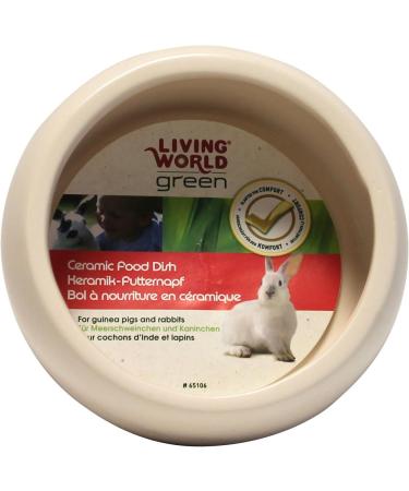 Living World Green Ceramic Food Dish/Bowl 300 ml 1 Count (Pack of 1) - Buy Online on GoSupps.com