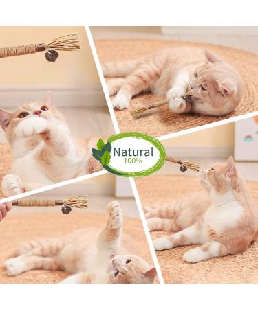AGYM Cat Silvervine Stick Toy Set - Natural Chew Toys for Cats | Promotes Dental Health, Relaxation, and Digestion | Non-Addictive and Safe | 4 Pack - Buy Online on GoSupps.com