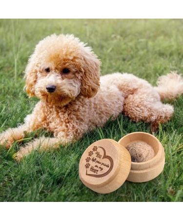 Wooden Pet Memorial Box Carved Souvenir Box Fur Keep Sake Gift For Lost Pet (Box) - Buy Online on GoSupps.com