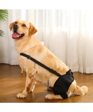 knee brace back leg brace dog leg support pet leg support back leg support dog hip brace hip joint brace brace X-Small - Buy Online on GoSupps.com