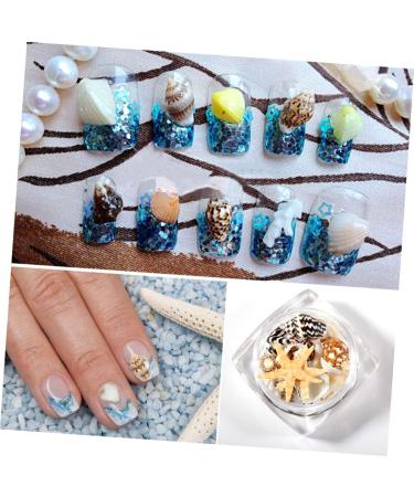 minkissy 1 Box Nail Art Decoration Nail Jewelry Shell Decor Conch Jewelry Nail Decorations for Nail Art Conch Shells Nail Decoration Nail Ornament 3d Nail Stickers Manicure - Buy Online on GoSupps.com