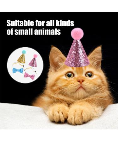 2 Piece Pet Birthday Hat Set - Party Accessories for Dogs - Perfect for Pet Parties & Celebrations - Buy Online on GoSupps.com