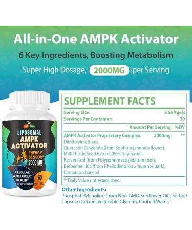 AMPK Activator Supplement 2000mg- Liposomal Technology - High Absorption Berberine DIM Resveratrol Quercetin Milk Thistle Cinnamon- 60 Softgels for Energy & Cellular Support 60 Count (Pack of 1) - Buy Online on GoSupps.com