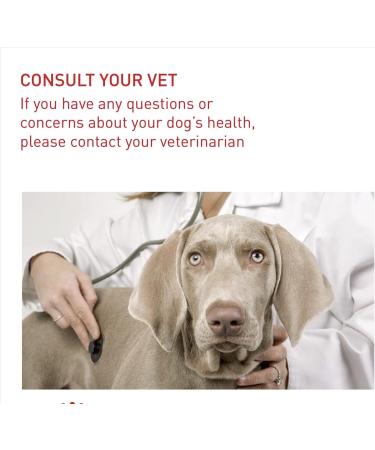 Royal Canin Medium Light Weight Care Adult Dry Dog Food 12kg Poultry 12 kg (Pack of 1) - Buy Online on GoSupps.com