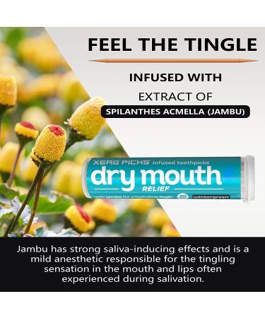 Xero Picks Dry Mouth - Wintergreen Infused Toothpicks for Fresh Breath & Dry Mouth Relief - Buy Online on GoSupps.com
