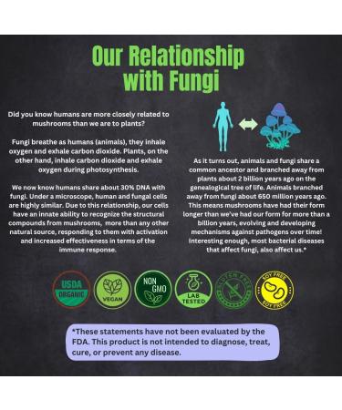 Organic Snow Fungus Dual Extract - 100% Fruiting Bodies - 125g - With Hemp Bag - Add to Water/Tea/Coffee/Smoothies - Buy Online on GoSupps.com