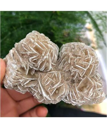 Natural Crystal Rough Natural Desert Rose Selenite Ra Crystal Stone Specimen Rough Sample Cluster FengShui Decor dingchi (Size : 100-200g) - Buy Online on GoSupps.com