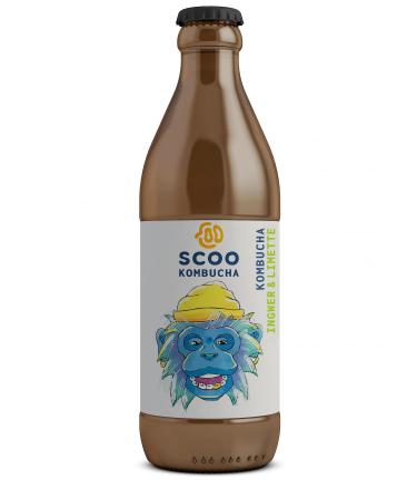 Scoo Kombucha Ginger & Lime - 12 bottles 330 ml Organic Kombucha Tea