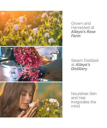 Buy Alteya Organics White Rose Water - USDA Organic Facial Toner 8.5 Fl Oz - Pure Bulgarian Rosa Alba - Award-Winning Moisturizer in BPA-Free Bottle - Buy Online on GoSupps.com