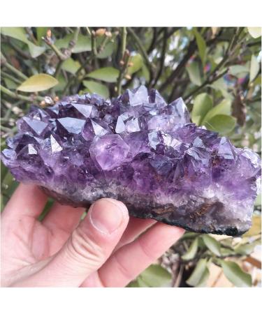 540-560g Natural Dream Amethyst Quartz Crystal Cluster Specimen qiangang - Buy Online on GoSupps.com