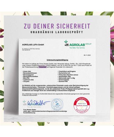 Felsenfest St. John's Wort Capsules - High-Dose Valerian & Passion Flower - Vegan 90 Count with Folic Acid & B12 - Comparison Winner for Stress Relief - Buy Online on GoSupps.com