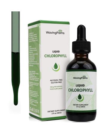 Liquid Chlorophyll Drops Chlorophyll Liquid Drops for Water Chlorophyll Liquid Drops Energy Boost Immune System Support