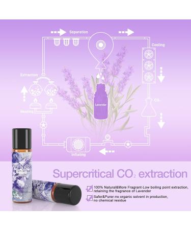 ASAKUKI Lavender Essential Oil 10mL - Natural Therapeutic-Grade Aromatherapy Oil for Diffuser and Sleep, Scented Relaxing Oil - Perfect Gift Idea - Buy Online on GoSupps.com