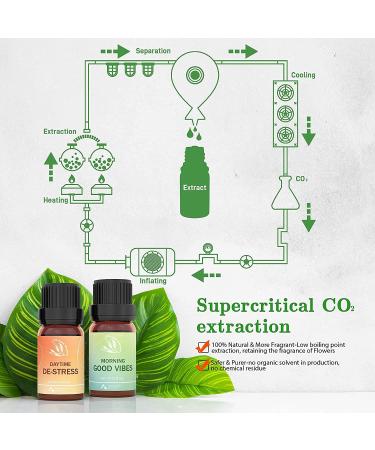 ASAKUKI 3-Pack Essential Oil Blends Set - Mood Uplift, Relaxation, Good Rest - 100% Pure Natural Aromatherapy Oils for Diffusers - Ideal for Massage, Candle Making, Room Cleaning & Humidifiers - Buy Online on GoSupps.com