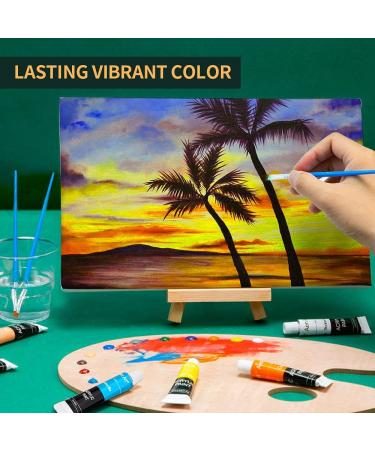 Aen Art Acrylic Paint Set - 16 Colors for Canvas, Wood, Fabric & Ceramic Crafts - Non-Toxic & Rich Pigments - Ideal for Beginners - Buy Online on GoSupps.com