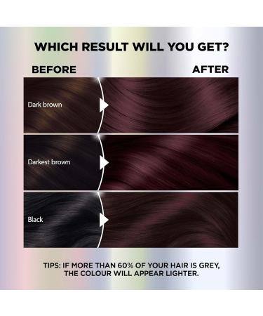 Garnier Nutrisse Ultra Color Permanent Hair Dye Vibrant Long-Lasting Colour Vegan Formula Nourished Hair Protects Hair Against Dryness 260 Black Cherry 1 Application Packaging May Vary RED SHADES 260 Black Cherry - Buy Online on GoSupps.com