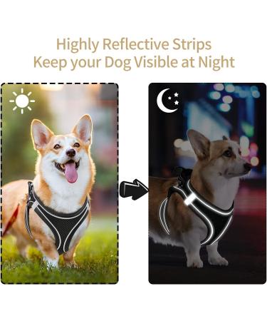 Heele Adjustable Reflective Dog Harness - Soft Mesh for Small & Medium Dogs | Breathable Black 2XS | Ultimate Comfort & Safety (1 Pack) - Buy Online on GoSupps.com