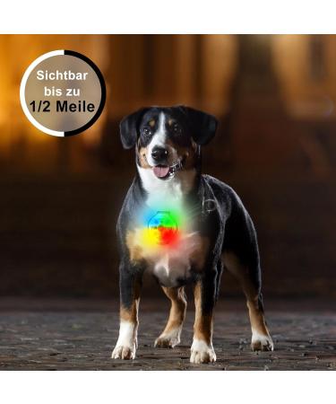 FTTouuy Safety LED Flashing Light for Dogs & Cats - USB Rechargeable Waterproof Colorful Pet Safety Light for Night Walks | International Shipping Available - Buy Online on GoSupps.com
