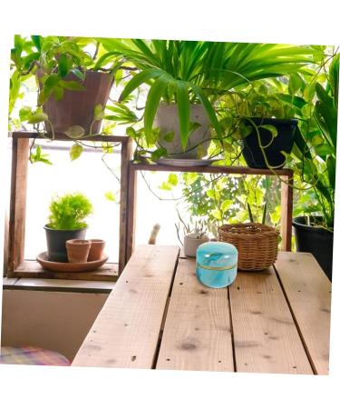 CYYHGD 2pcs Loose Powder Storage Box Dusting Powder Gift Tin Decorative Flower Tea Jar Tea Stash Candy Tin Puff Candy Decor Loose Powder Storage Jar Blue and White Porcelain Tinplate Food - Buy Online on GoSupps.com