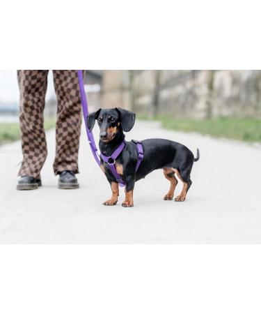 CHABA Adjustable Dog Harness for Large Dogs - Anti-Choking & Control - Lightweight Step-In Design - Perfect for Running - XL Violet - Buy Online on GoSupps.com