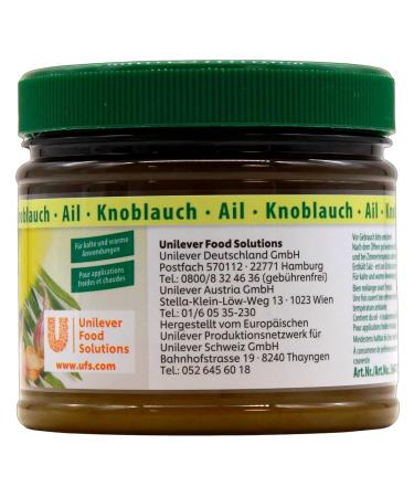 Buy Knorr Mise en Place Garlic Paste 340g - Authentic Flavor for Cooking | International Shipping Available - Buy Online on GoSupps.com