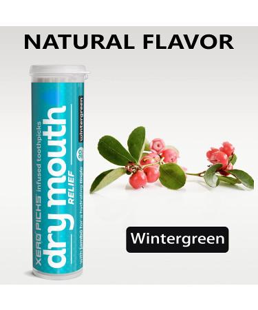 Xero Picks Dry Mouth - Wintergreen Infused Toothpicks for Fresh Breath & Dry Mouth Relief - Buy Online on GoSupps.com