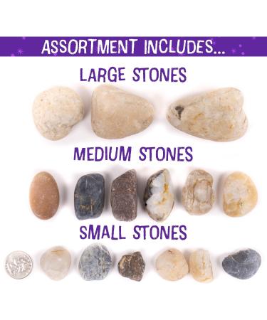 Galaxy Paint Your Own Rock Art Kit - Black | Horizon Group USA - Buy Online on GoSupps.com