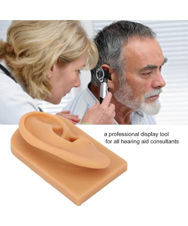 Waterproof Silicone Right Ear Model for Displaying Hearing Aid and Acupuncture Education - Buy Online on GoSupps.com