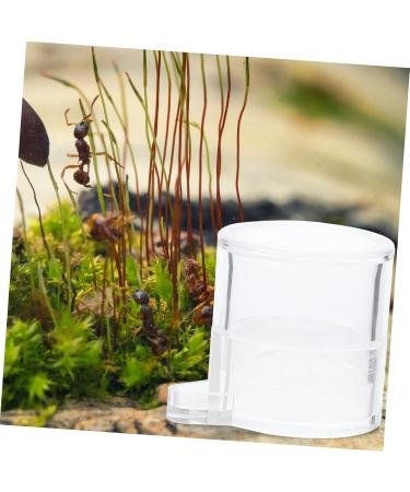 SEWOART 2pcs Ant Water Feeder Ants Ant Nest Water Feeder Ant Liquid Feeder Pet Waterer Transparent Acrylic - Buy Online on GoSupps.com